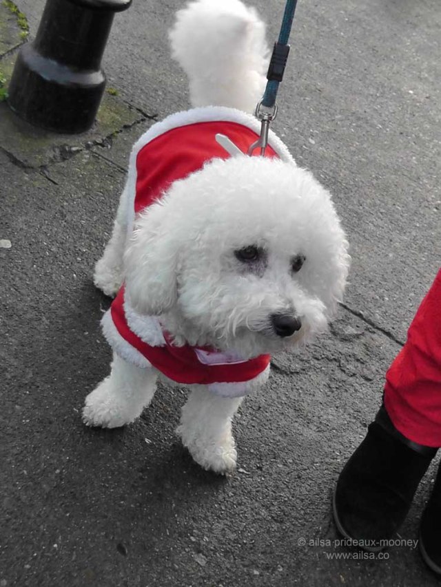 dublin, sandymount wren boys, wren festival, wren day, st stephen's day, travel, travelogue, photography, ailsa prideaux-mooney, ireland