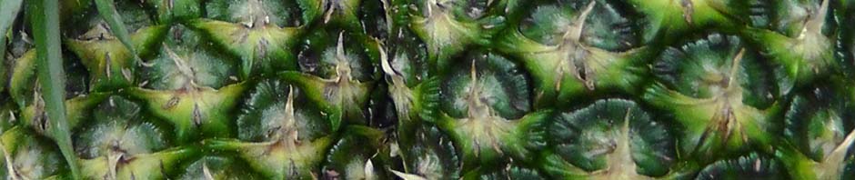 xmas, ireland, travel, travelogue, ailsa prideaux-mooney