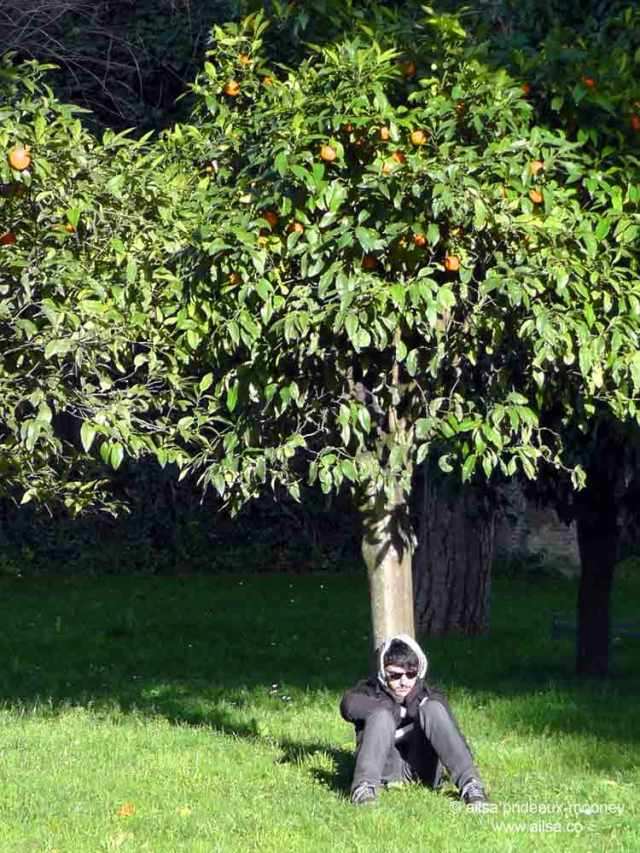 Parco Savello, Giardino degli Aranci, Orange Garden, Rome, Italy, travel, travelogue, photography, Ailsa Prideaux-Mooney