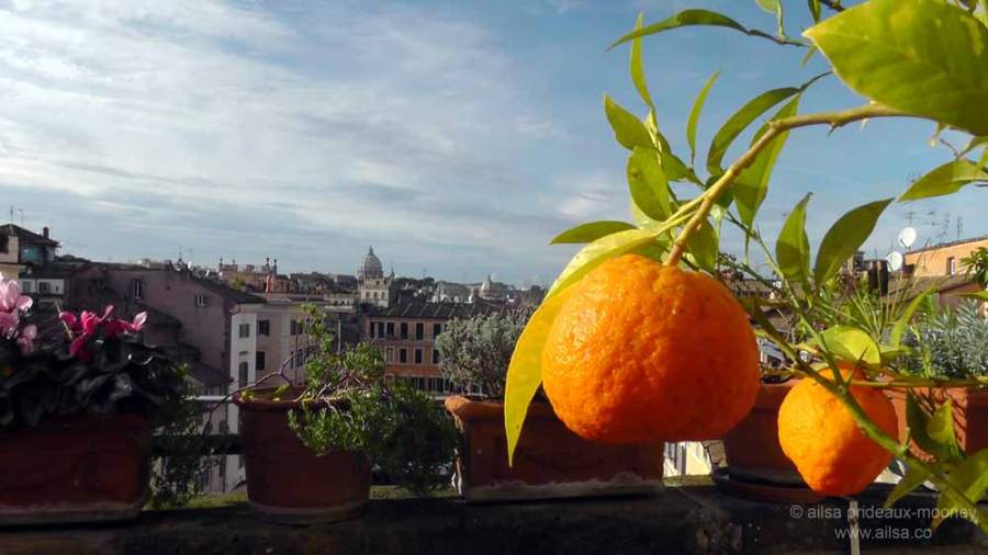 rome skyline, campo di' fiori, italy, travel, travelogue, travel photography, ailsa prideaux-mooney, mediterranean garden