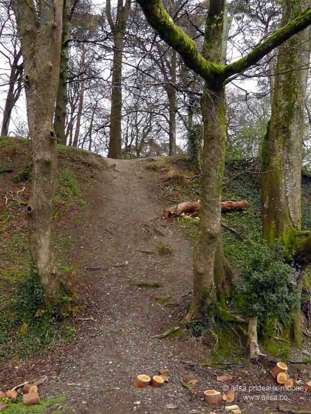 brian boru, brian boru millenium, brian boru millenial, killaloe, beal boru, ring fort, brian boru fort, kincora, killaloe, clare, ireland, travel, travelogue, photography, ailsa prideaux-mooney