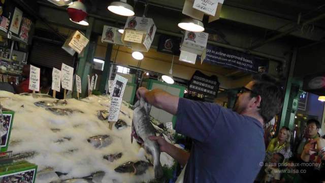 pike place market, seattle, flying fish, throwing fish, fish market, travel, travelogue, ailsa prideaux-mooney, photography