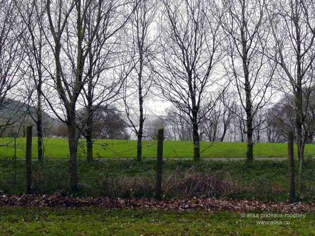 brian boru, brian boru millenium, brian boru millenial, killaloe, beal boru, ring fort, brian boru fort, kincora, killaloe, clare, ireland, travel, travelogue, photography, ailsa prideaux-mooney, vikings, viking festival