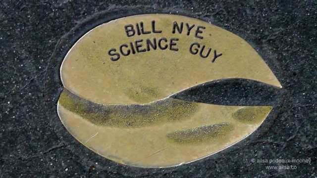 pike place market, seattle, travel, travelogue, ailsa prideaux-mooney, bronze pig prints, pig hoofs, famous names