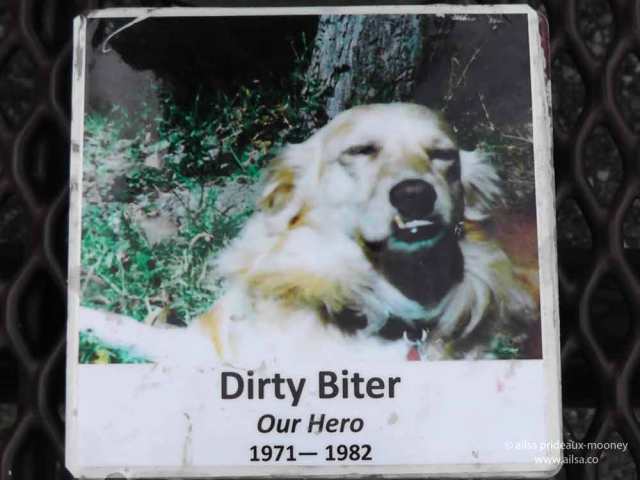 dirty biter, la conner, skagit valley, washington state, travel, travelogue, ailsa prideaux-mooney