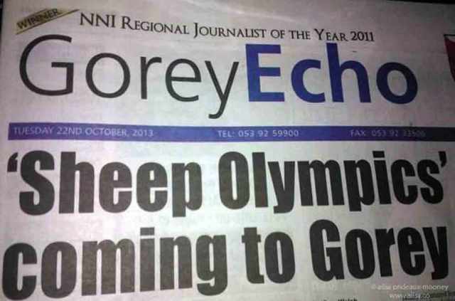 sheep olympics, golden shears, gorey, wexford, ireland, travel, travelogue, ailsa prideaux-mooney