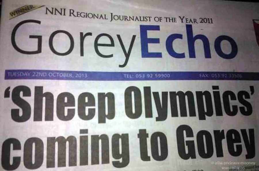 sheep olympics, golden shears, gorey, wexford, ireland, travel, travelogue, ailsa prideaux-mooney