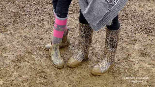 sheep olympics, golden shears, gorey, wexford, ireland, travel, travelogue, ailsa prideaux-mooney