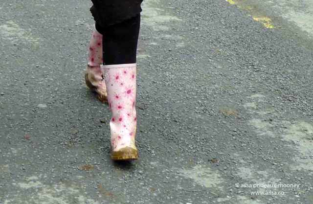 sheep olympics, golden shears, gorey, wexford, ireland, travel, travelogue, ailsa prideaux-mooney