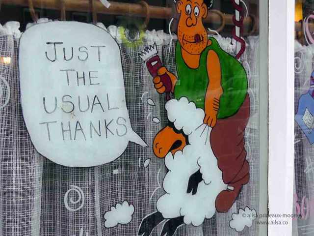 sheep olympics, golden shears, gorey, wexford, ireland, travel, travelogue, ailsa prideaux-mooney