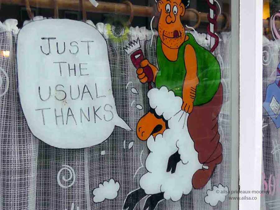 sheep olympics, golden shears, gorey, wexford, ireland, travel, travelogue, ailsa prideaux-mooney