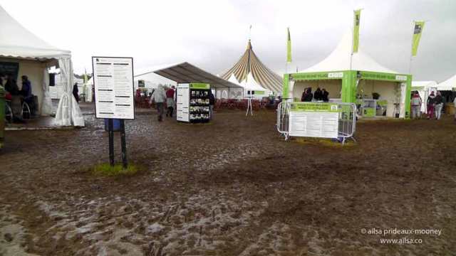 sheep olympics, golden shears, gorey, wexford, ireland, travel, travelogue, ailsa prideaux-mooney