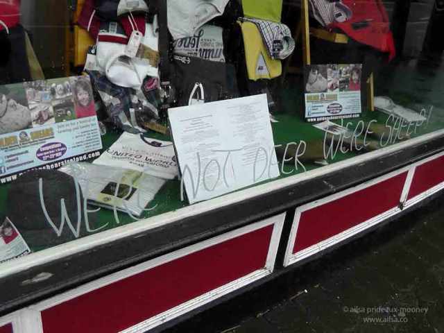 sheep olympics, golden shears, gorey, wexford, ireland, travel, travelogue, ailsa prideaux-mooney