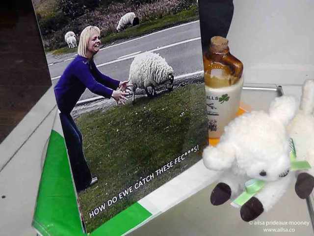 sheep olympics, golden shears, gorey, wexford, ireland, travel, travelogue, ailsa prideaux-mooney