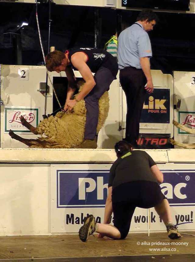 sheep olympics, golden shears, gorey, wexford, ireland, travel, travelogue, ailsa prideaux-mooney