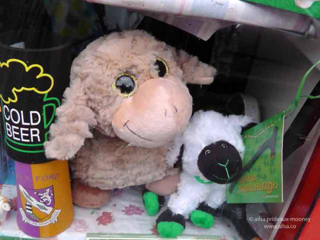 sheep olympics, golden shears, gorey, wexford, ireland, travel, travelogue, ailsa prideaux-mooney