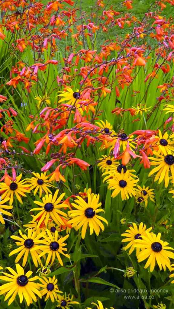 north cascades, mount sauk, north cascades loop, north cascades national park, washington, travel, travelogue, road trip, ailsa prideaux-mooney, cascadian farm