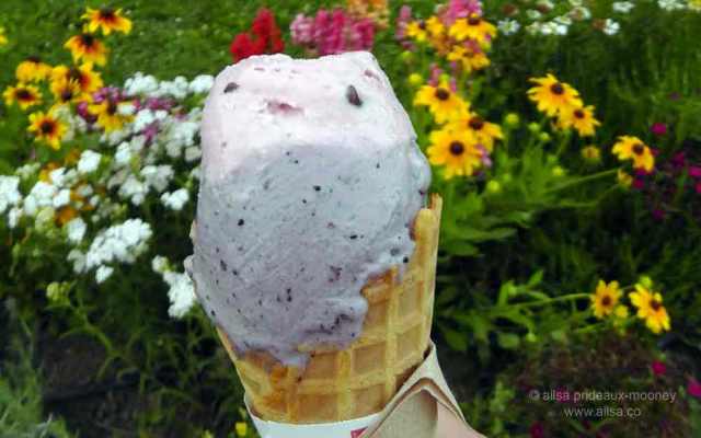 north cascades, mount sauk, north cascades loop, north cascades national park, washington, travel, travelogue, road trip, ailsa prideaux-mooney, cascadian farm