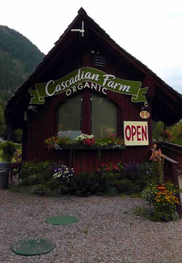 north cascades, mount sauk, north cascades loop, north cascades national park, washington, travel, travelogue, road trip, ailsa prideaux-mooney, cascadian farm