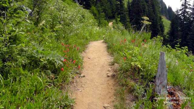 north cascades, mount sauk, north cascades loop, north cascades national park, washington, travel, travelogue, road trip, ailsa prideaux-mooney