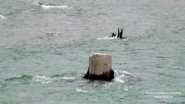 liberty bell, washington pass, okanogan-wenatchee national forest, north cascades national park, washington, travel, travelogue, photography, road trip, ailsa prideaux-mooney, north cascades loop