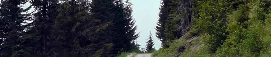 north cascades, mount sauk, north cascades loop, north cascades national park, washington, travel, travelogue, road trip, ailsa prideaux-mooney