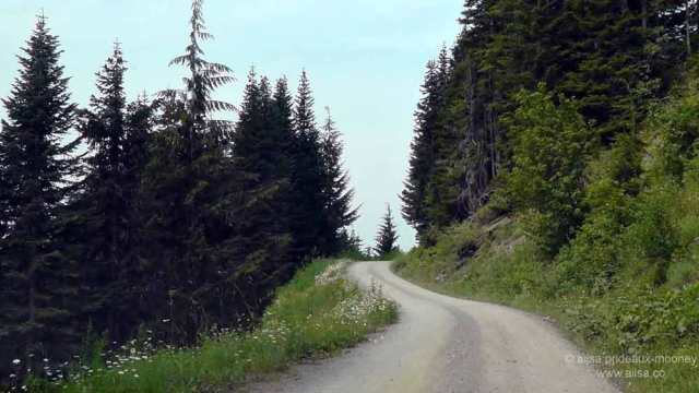 north cascades, mount sauk, north cascades loop, north cascades national park, washington, travel, travelogue, road trip, ailsa prideaux-mooney