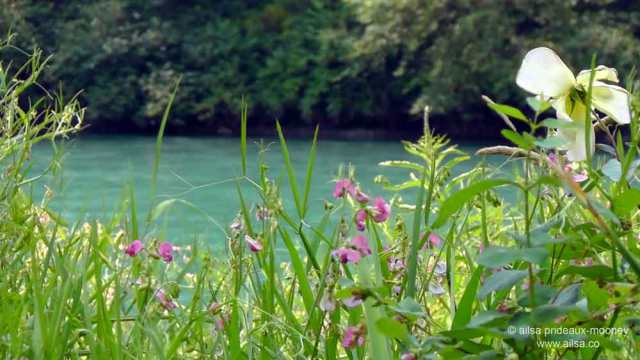 north cascades, mount sauk, north cascades loop, north cascades national park, washington, travel, travelogue, road trip, ailsa prideaux-mooney, skagit river