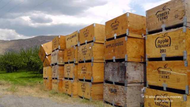 methow valley, agriculture, fertile valley, north cascades loop, leavenworth, washington, Stevens Pass, travel, travelogue, Ailsa Prideaux-Mooney, orchards, apple crates