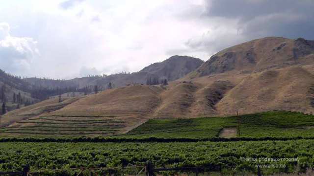 methow valley, agriculture, fertile valley, north cascades loop, leavenworth, washington, Stevens Pass, travel, travelogue, Ailsa Prideaux-Mooney