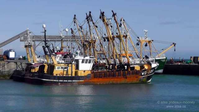 kilmore quay, wexford, ireland, fishing village, thatched cottages, saltee islands, travel, travelogue, ailsa prideaux-mooney