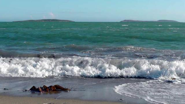kilmore quay, wexford, ireland, fishing village, thatched cottages, saltee islands, travel, travelogue, ailsa prideaux-mooney