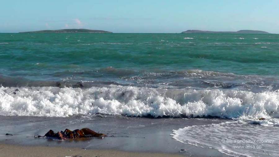 kilmore quay, wexford, ireland, fishing village, thatched cottages, saltee islands, travel, travelogue, ailsa prideaux-mooney
