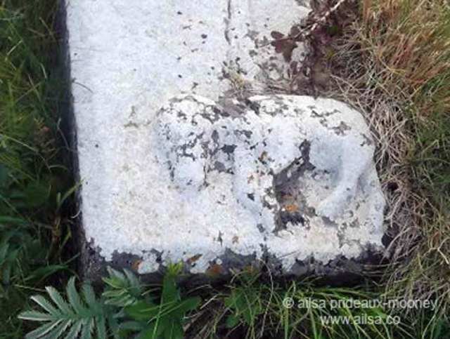 knights templar, templetown, wexford, hook peninsula, templetown church ruins, templar graves, gravestone, ireland, hospitaller knights, travel, travelogue, photography, history, ailsa prideaux-mooney