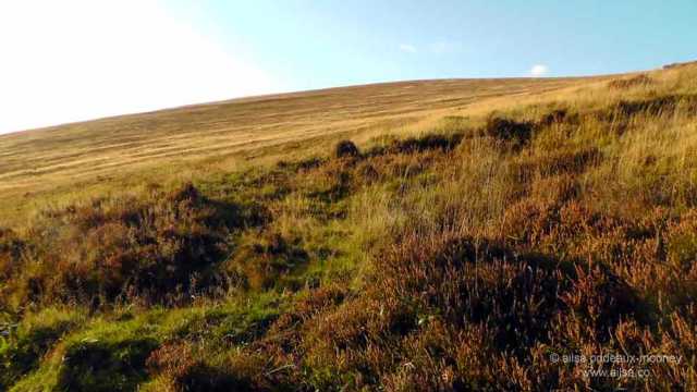 mount leinster, carlow, ireland, nine stones viewing point, travel, travelogue, ireland