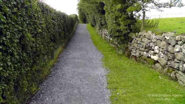 loughcrew, cairn, burial chamber, passage tomb, megalithic, neolithic, county meath, Sliabh na Caillí, travel, Ireland, travelogue, Ailsa Prideaux-Mooney