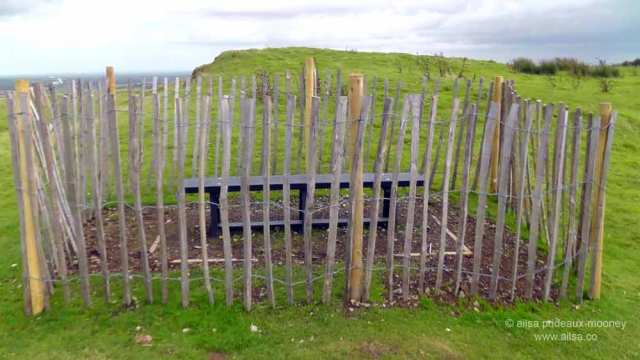 loughcrew, cairn, burial chamber, passage tomb, megalithic, neolithic, county meath, Sliabh na Caillí, travel, Ireland, travelogue, Ailsa Prideaux-Mooney