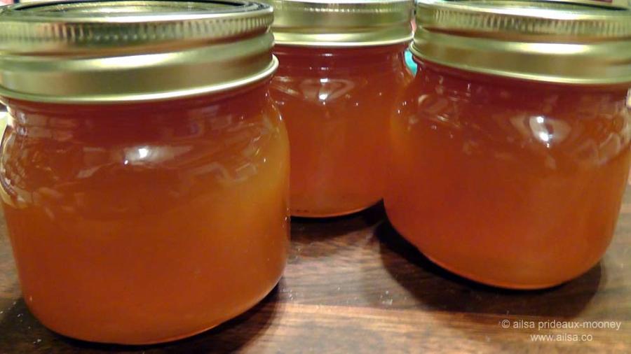 foraging, wild food, wild fruit, berries, ireland, hedgerow, autumn, travel, travelogue, ailsa prideaux-mooney