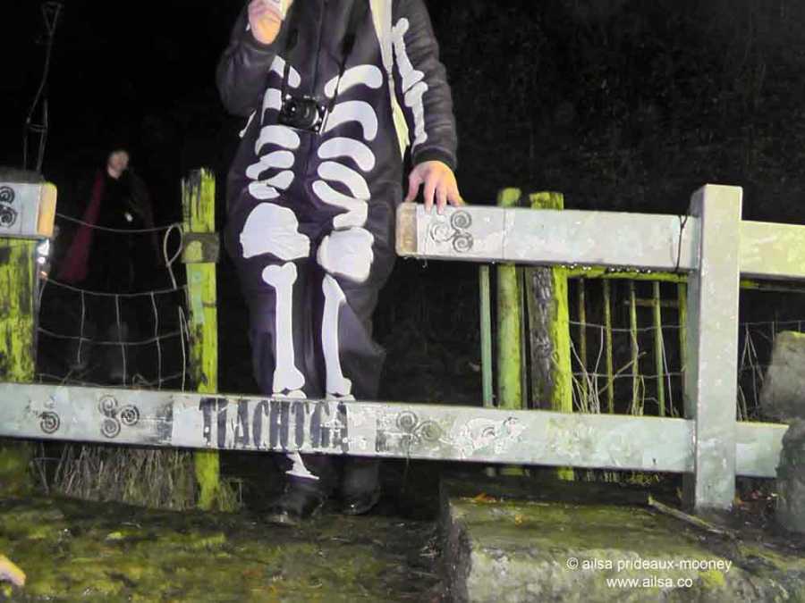 samhain, athboy, meath, fire festival, samhain fire festival tlachtga, tlachtga, hill of tlachtga, hill of ward, hallowe'en, halloween, birthplace of samhain, travel, travelogue, ailsa prideaux-mooney, photography