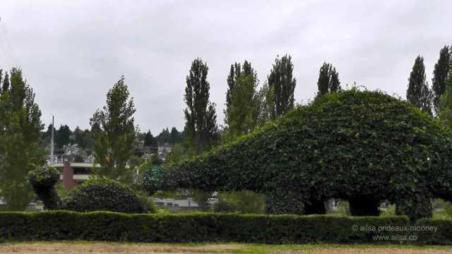 fremont dinosaurs, topiary dinosaurs, seattle, travel, travelogue, tourism, ailsa prideaux-mooney