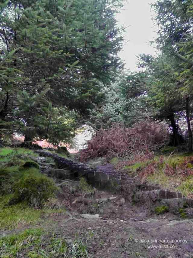 glendalough, spinc, spinc trail. blue trail, hiking, wicklow mountains, wicklow national park, wicklow, ireland, travel, travelogue, ailsa prideaux-mooney, 600 steps