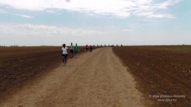 Cadillac Ranch, Amarillo, Texas, roadside attractions, travel, travelogue, ailsa prideaux-mooney