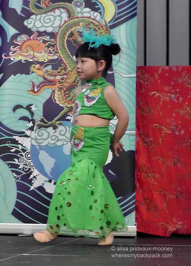 dublin chinese new year festival 2015, dragons, tai chi, kung fu, dragon dance, lion dance, year of the sheep, chinese harp, zither, travel, travelogue, ailsa prideaux-mooney