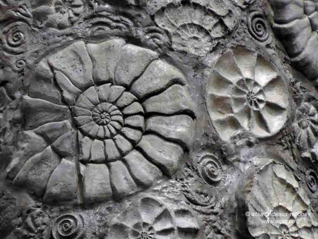 fossil tree, witness trees, travel, ballard, seattle, travelogue, ailsa prideaux-mooney