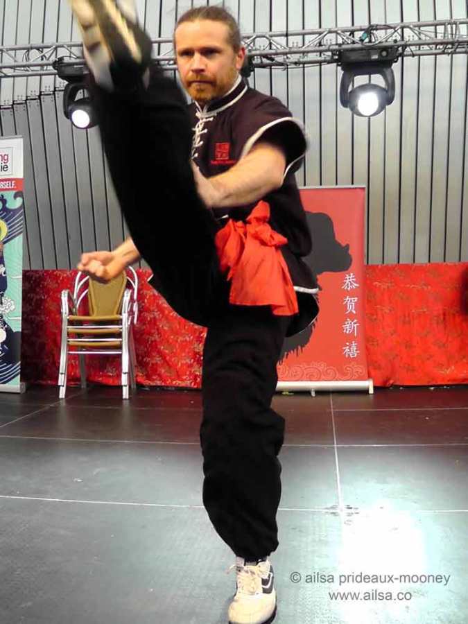 dublin chinese new year festival 2015, dragons, tai chi, kung fu, dragon dance, lion dance, year of the sheep, chinese harp, zither, travel, travelogue, ailsa prideaux-mooney