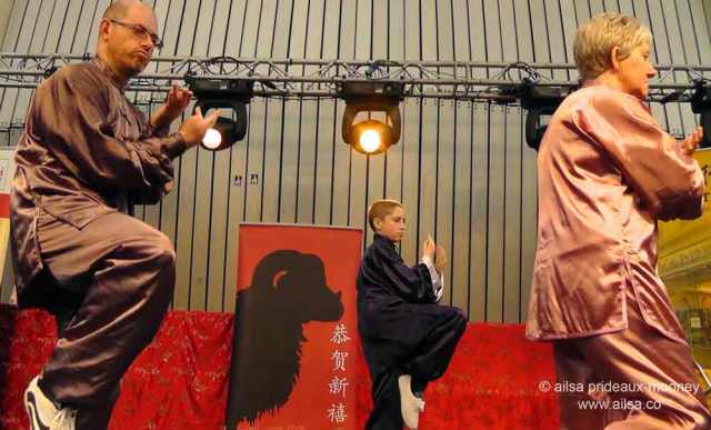 dublin chinese new year festival 2015, dragons, tai chi, kung fu, dragon dance, lion dance, year of the sheep, chinese harp, zither, travel, travelogue, ailsa prideaux-mooney
