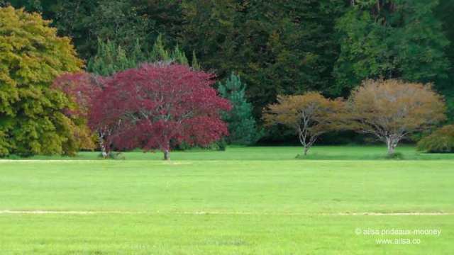 emigrant trail, wexford, jfk, kennedy, john f kennedy, ireland, travel, travelogue, dunbrody famine ship, new ross, jfk arboretum, kennedy homestead, ailsa prideaux-mooney