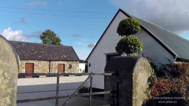 emigrant trail, wexford, jfk, kennedy, john f kennedy, ireland, travel, travelogue, dunbrody famine ship, new ross, jfk arboretum, kennedy homestead, ailsa prideaux-mooney