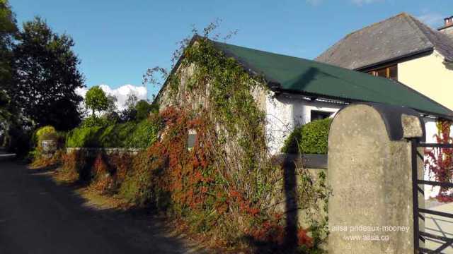 emigrant trail, wexford, jfk, kennedy, john f kennedy, ireland, travel, travelogue, dunbrody famine ship, new ross, jfk arboretum, kennedy homestead, ailsa prideaux-mooney