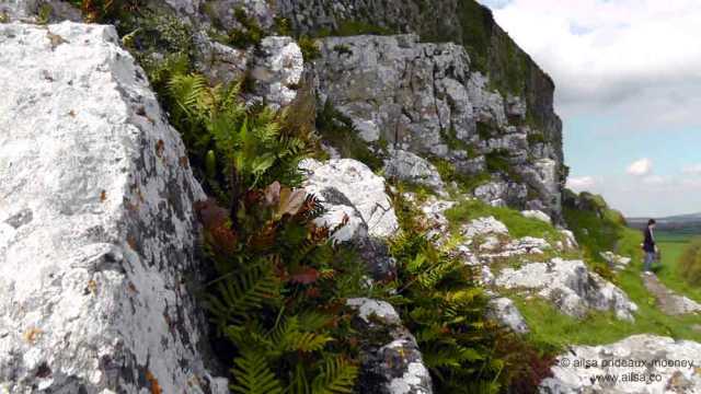 rock of cashel, st patrick's rock, tipperary, ireland, travel, ailsa prideaux-mooney